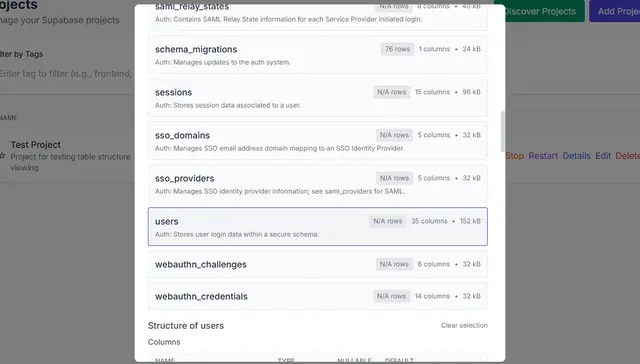 Table structure view with column names, data types, and nullable and primary-key flags.