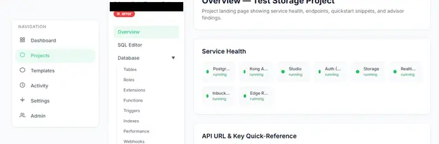 Project overview section showing service health rows and the API URL and key reference panel.